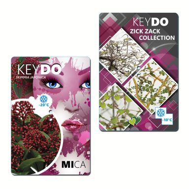 Etiketten für GB Udo Keysers